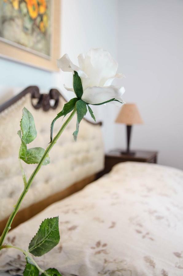 Penthouse Presernovo Nabrezje Apartman *